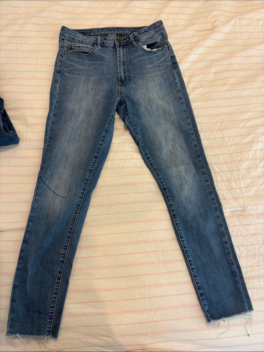 Articles Of Society Skinny Jeans in Mid Blue Wash